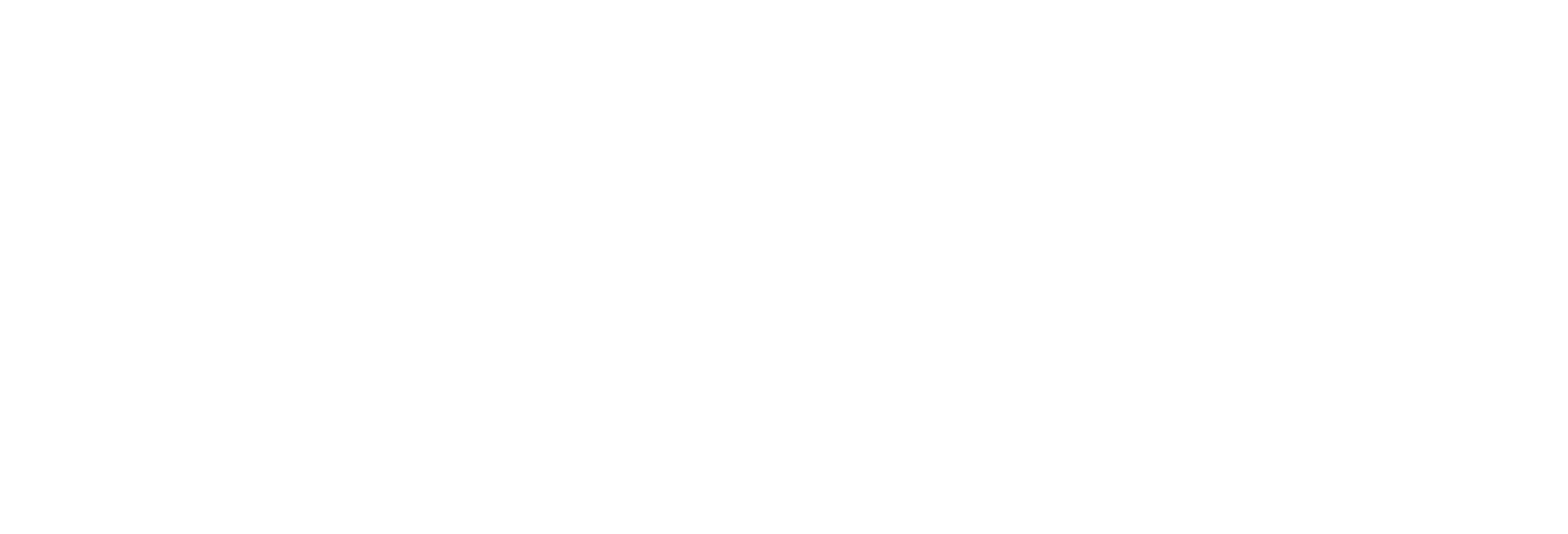 Main Logo